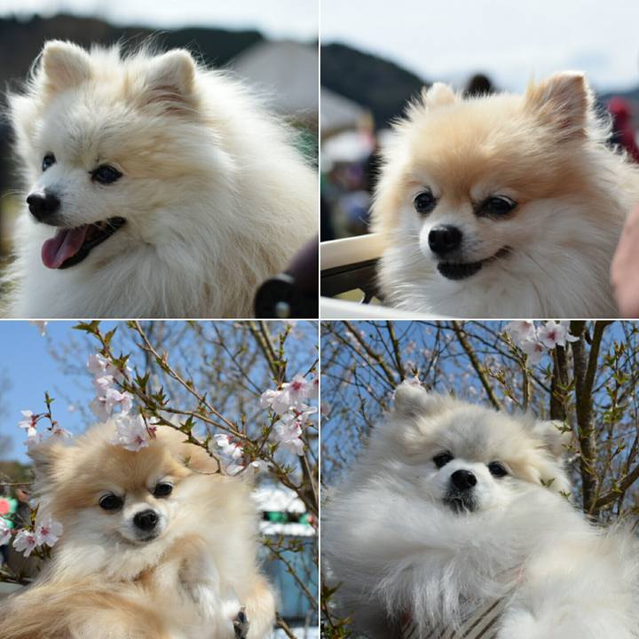 Fc6e753a 4759 43a1 85df ba1841c5671e