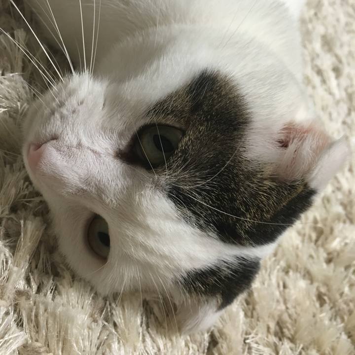 Fc6e853a 45fc 4556 9e19 7a48d8dc506b