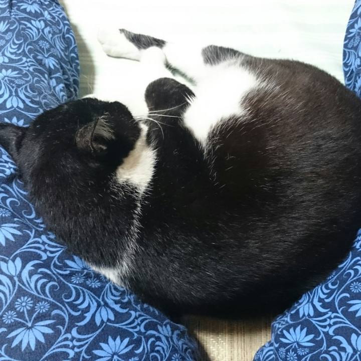 Fc6eef98 b9c2 4d3d 802f 5ba5d6aa53f0