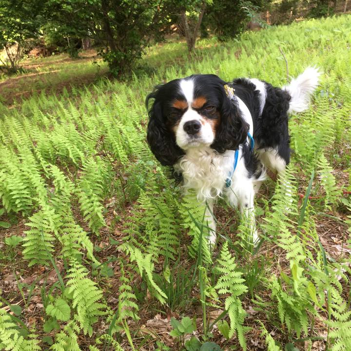 Fc6f969a 2c49 4b04 ac95 3f4983fce641