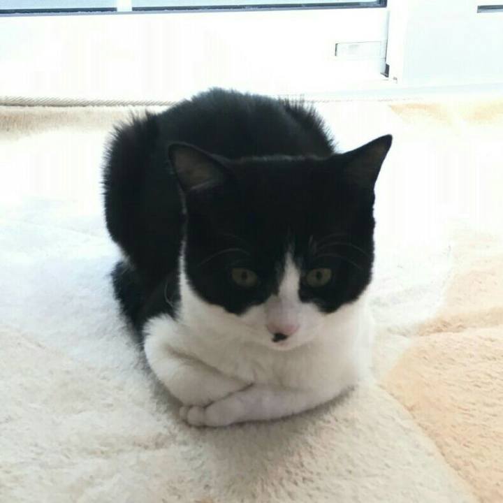 Fc6fe32a 63d9 42df 9e28 dddab494f138