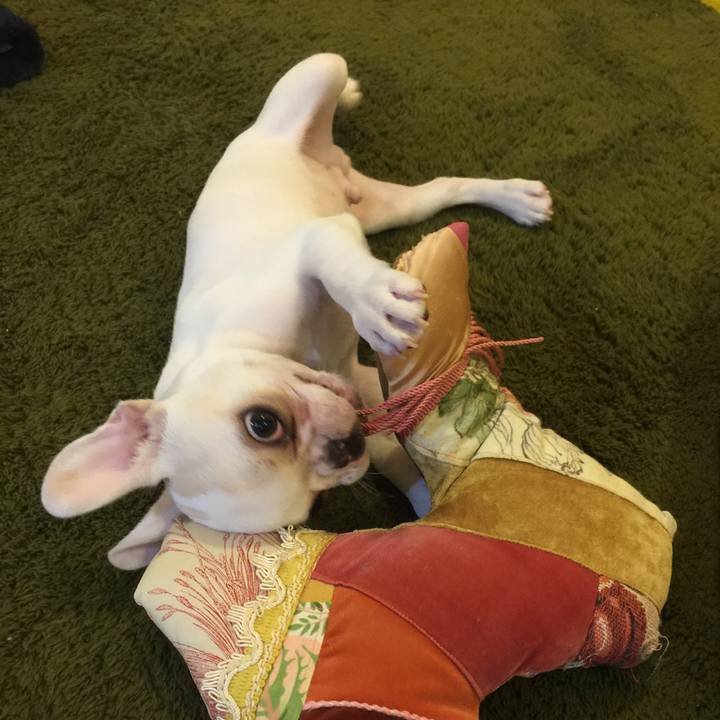 Fc70036e 71da 4250 8a03 58334db098f8