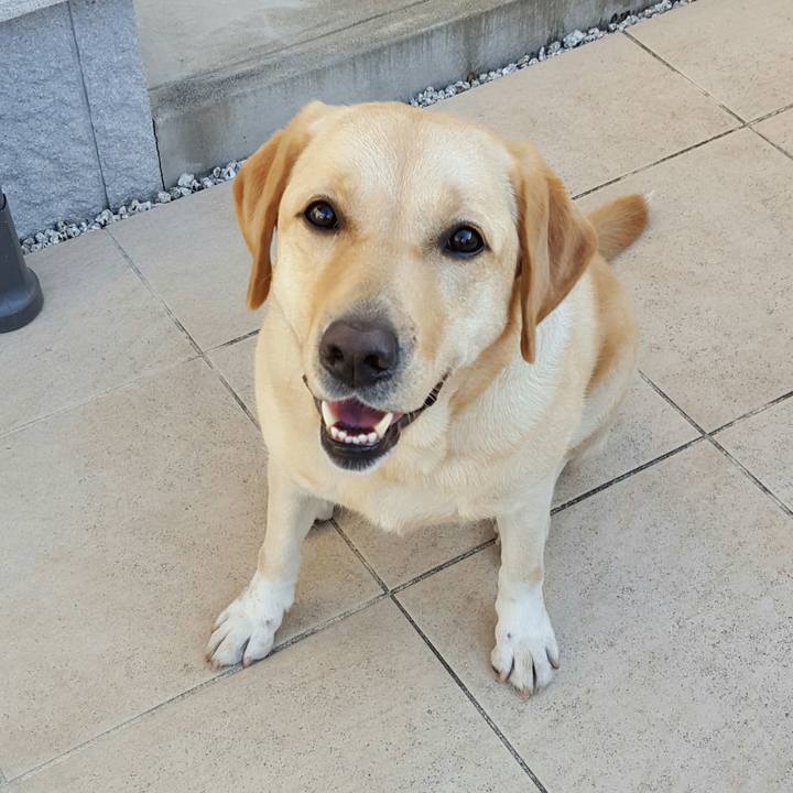 Fc7097dd cde4 4cad 8cc4 109778a7c30e