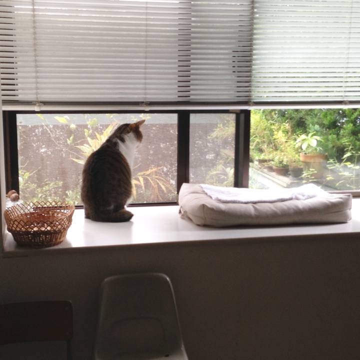 Fc718341 24a1 465f add2 169250606c5f