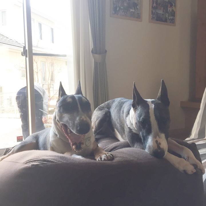 Fc725b41 4bfc 4fc2 9848 ee175e37870d