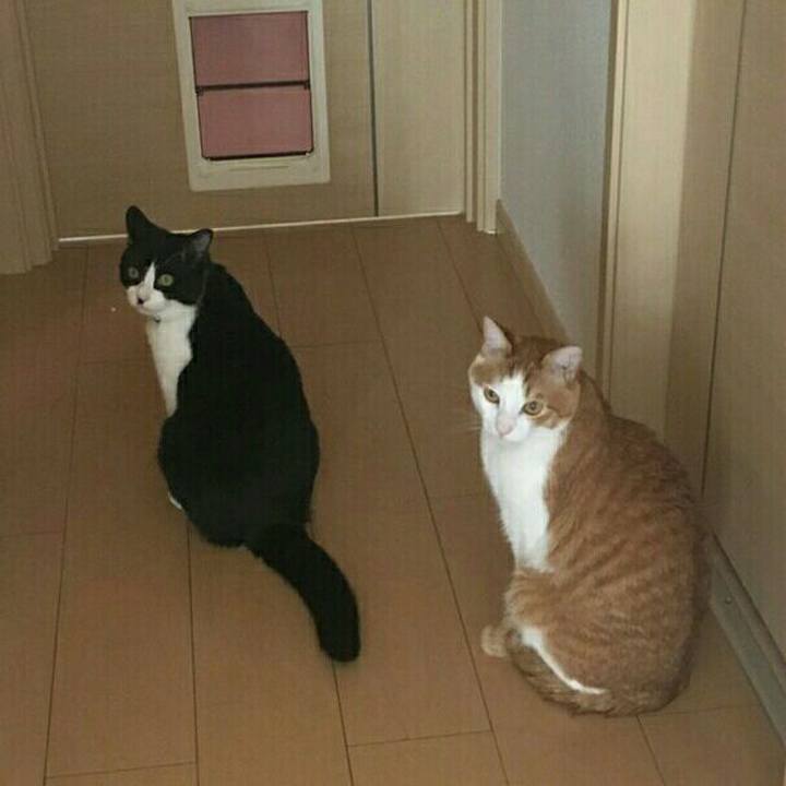 Fc727bae ad98 4a13 a126 7af10fa86512