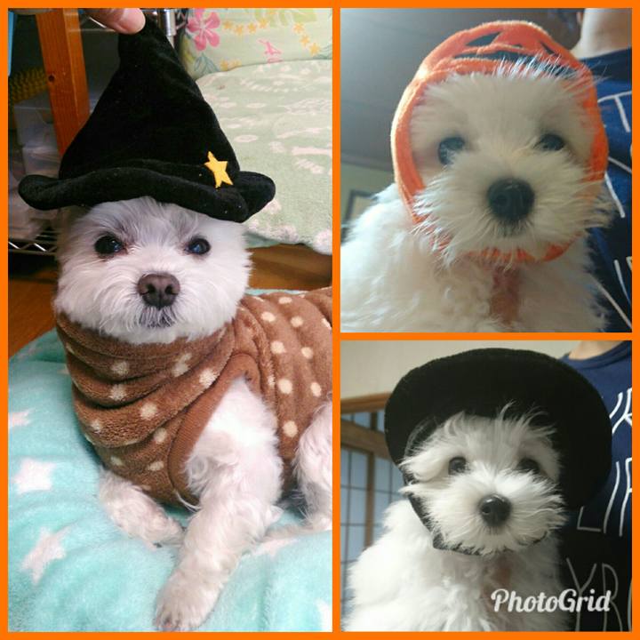 Fc72d936 f92c 460b a935 21e957875e5f