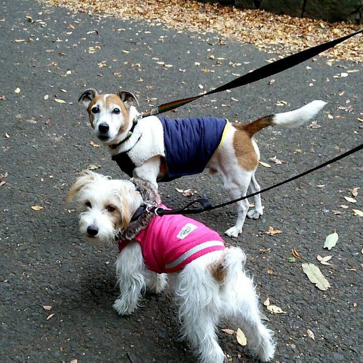 Fc736360 11c0 4da5 bb05 f5a8d3a16f73