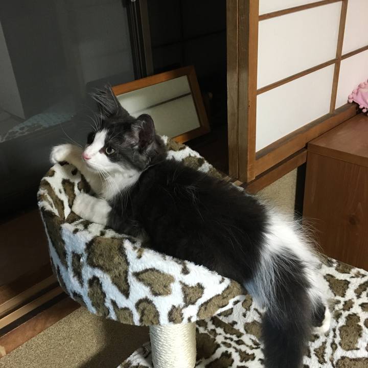 Fc73d9c0 26fa 48ea aaed f50c4715afa8