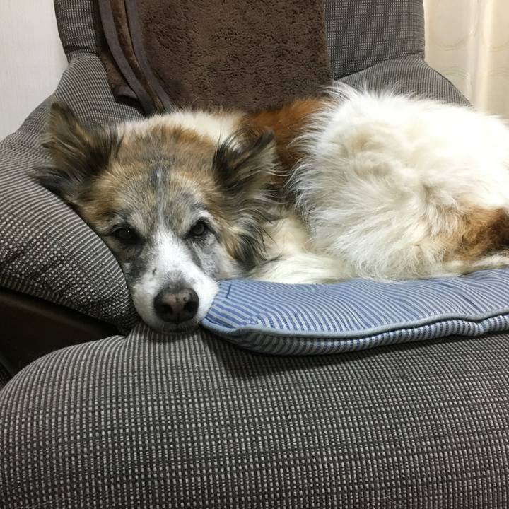 Fc73df30 d1cf 47be 8b71 73a454a8aea8