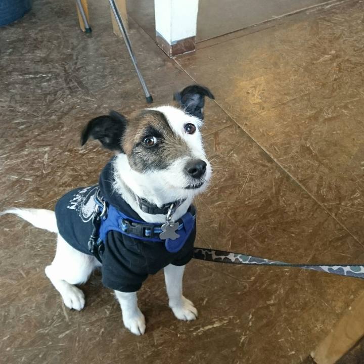 Fc73f078 1f4a 4dd9 bf51 17d1a9ff8672