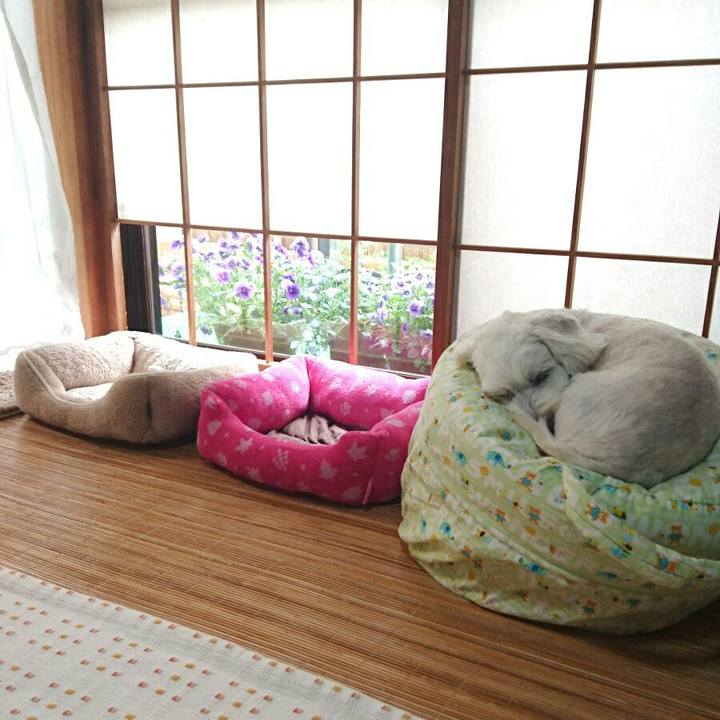 Fc741e88 c831 413b 9187 622d938b39b0