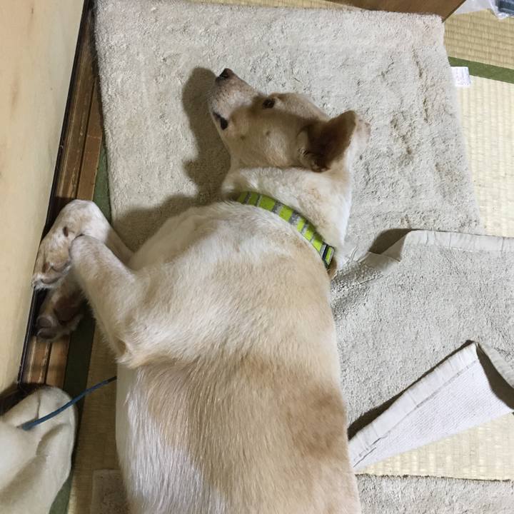 Fc753e47 631e 4c2d aded f9efb2519616