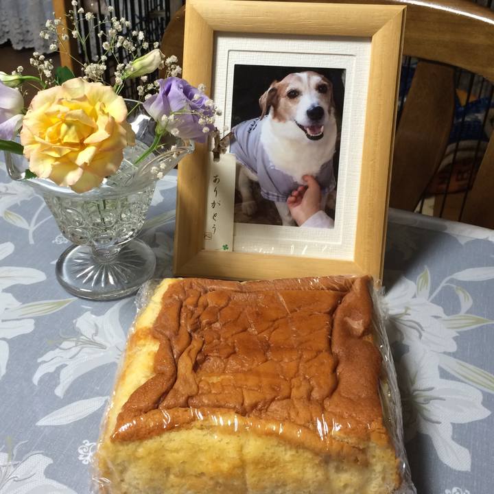 Fc756651 46ff 4925 84bd a31d8e6b2157