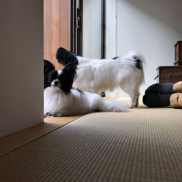 Fc75e7c4 337a 4c13 97f8 348c3f9f74ed