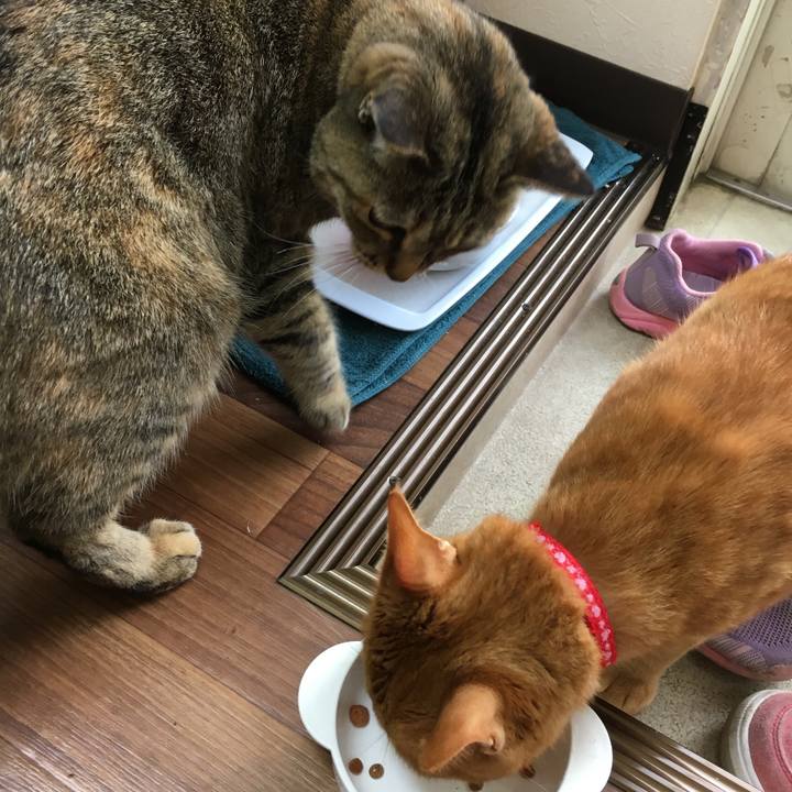 Fc762368 5e5c 48e1 8470 a7ebac795c13