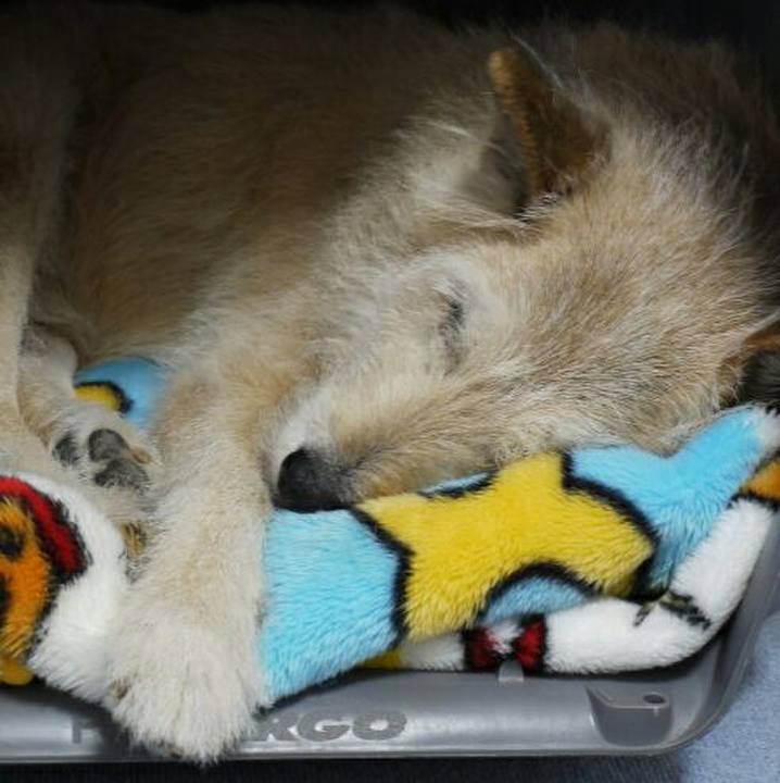 Fc76b720 0833 480f 807f f74569483434