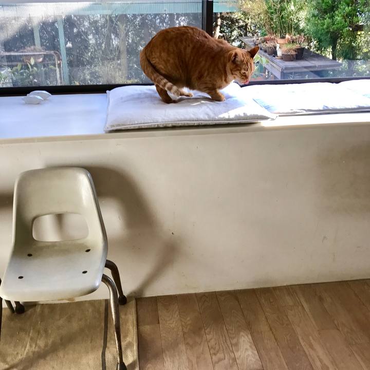 Fc76b927 f8b9 4eaa b71c d9debad5dc96