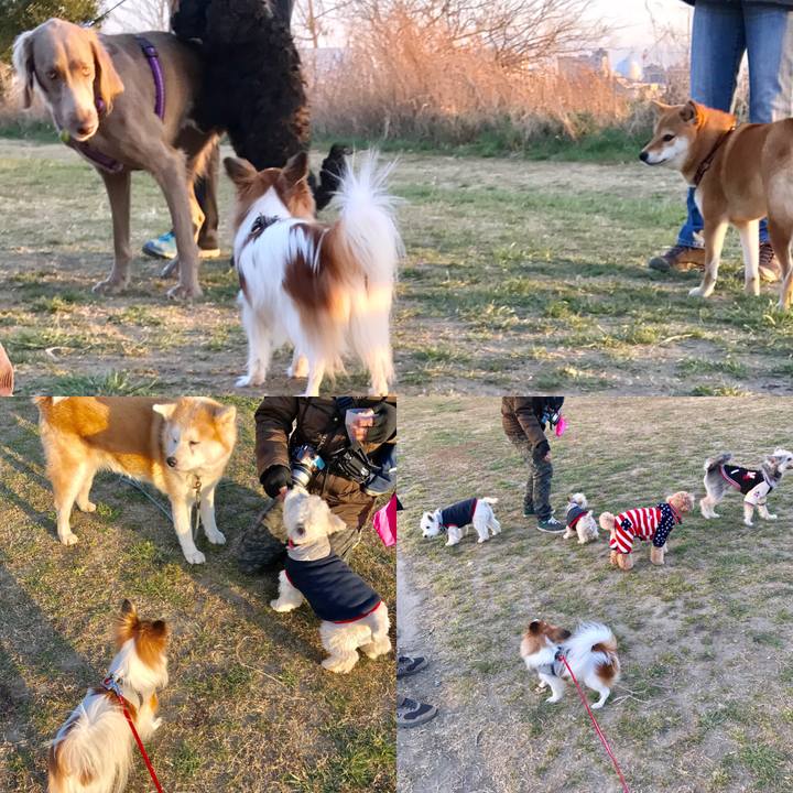 Fc76e68c 02f8 4ffc a317 62bbcab62e77