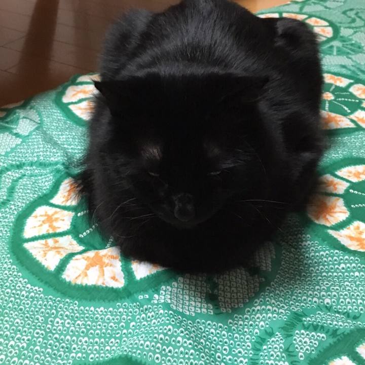 Fc77a73c 4bd1 4951 a659 1efeb448a575