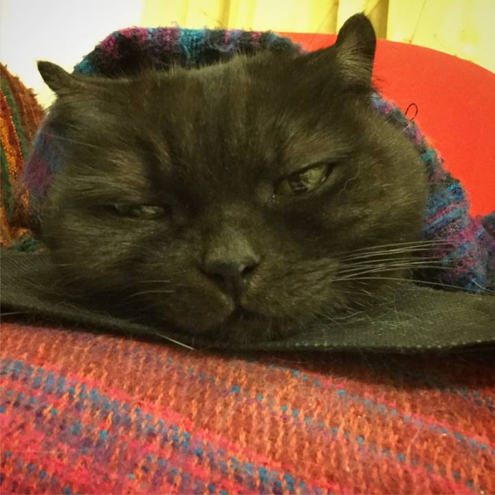 Fc77c8d6 81e2 43b8 a491 5c313e75cbab