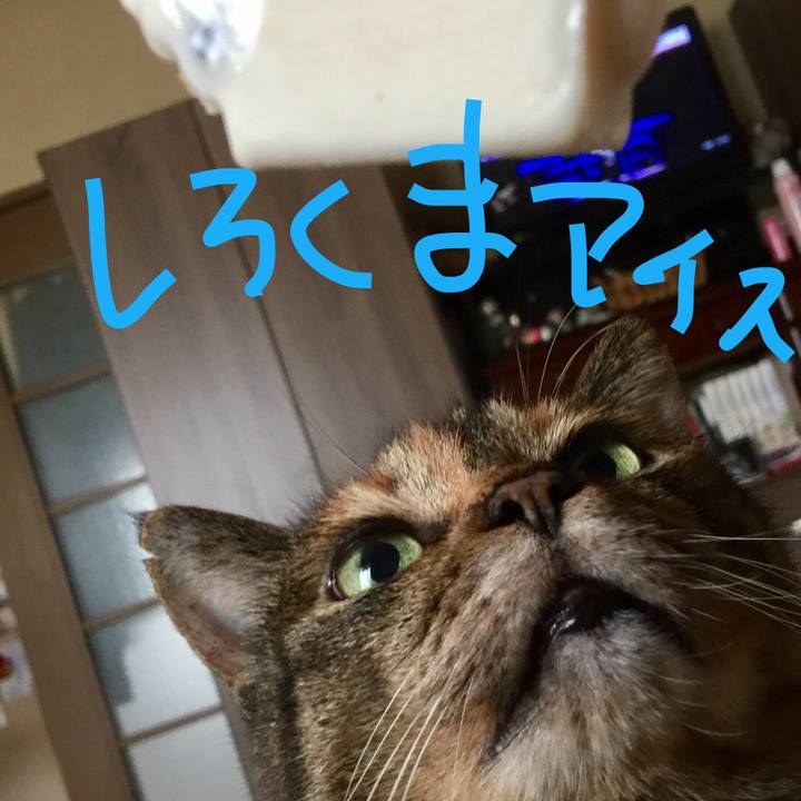 Fc780885 2e0c 411d 8440 29d7296faf5a