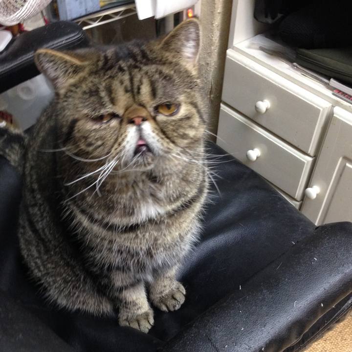 Fc781031 fa14 4b7a 963b a654daf12805