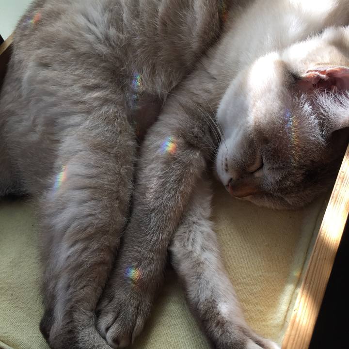 Fc7822d4 e168 4b9b 9cb4 f28f0386756e