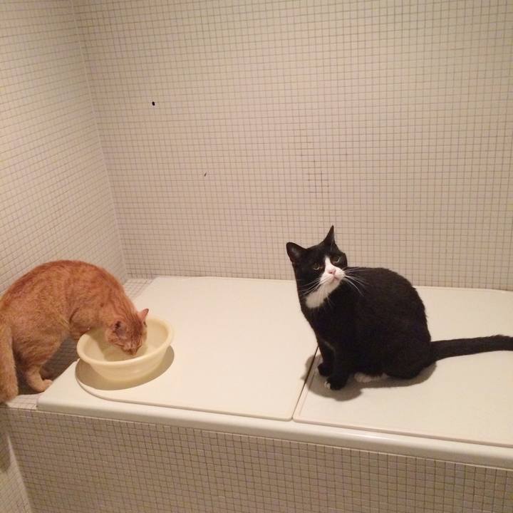 Fc795bd8 cc7c 44a2 9ee9 cf638745e260