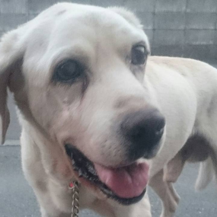 Fc7a8268 6de9 4b20 aae1 766682394cb4