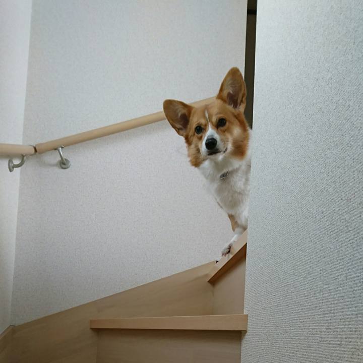 Fc7ab01b 6969 40c5 bf7d c32e32f020ce