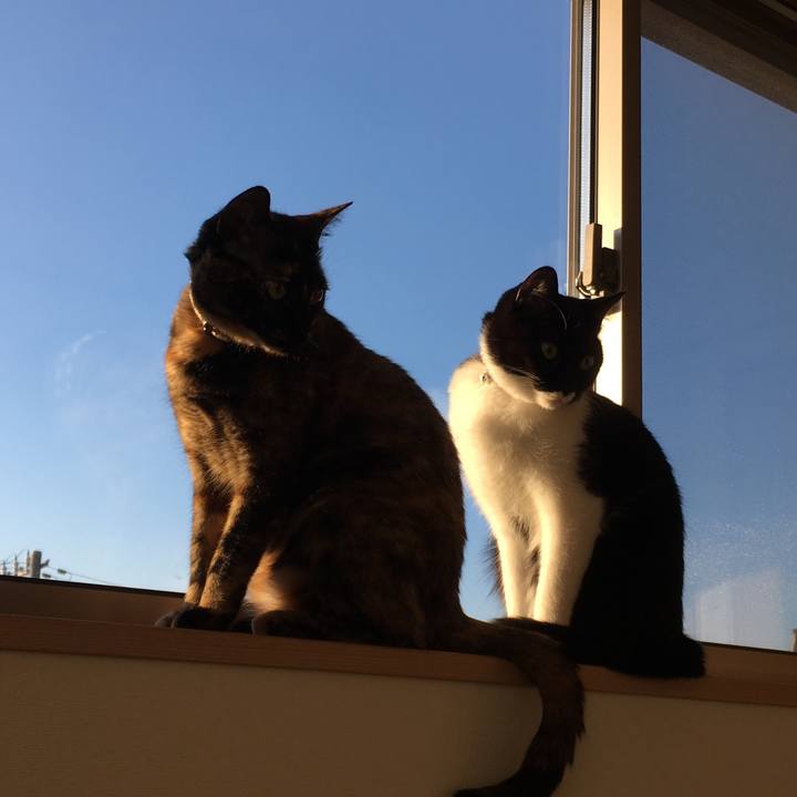 Fc7ad592 7350 4b75 8a8c 4ff6f8ea1986