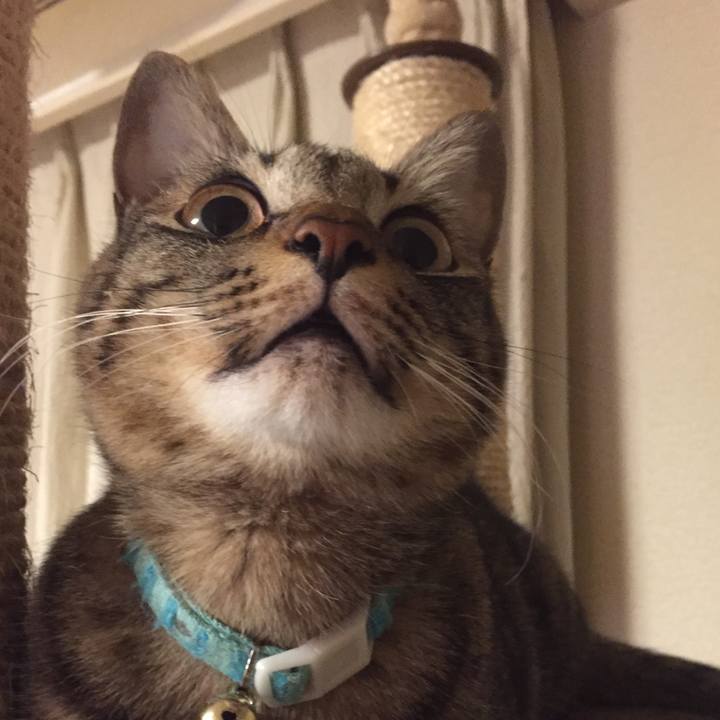 Fc7b5a2f 2d7a 479f a27d 064290d389d2