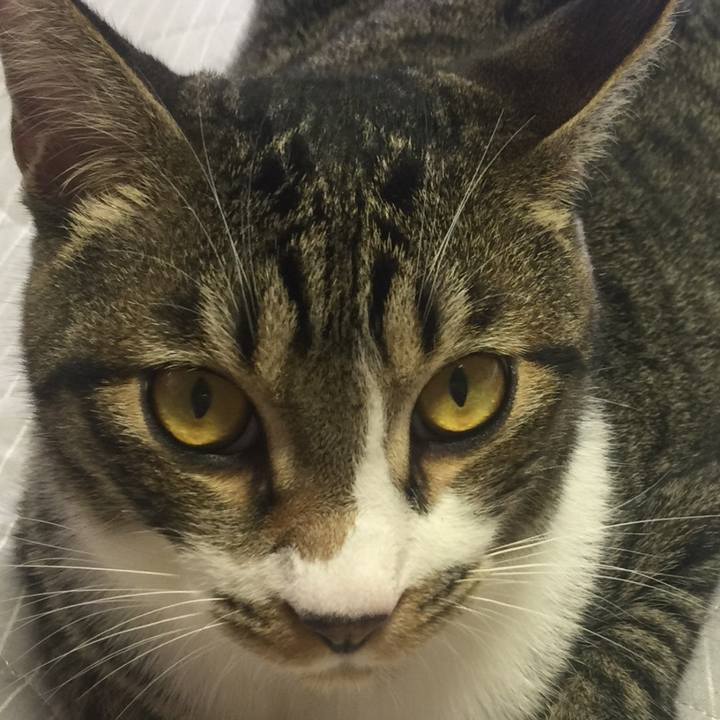 Fc7b7040 70d9 4af2 a7d2 777fb037039a