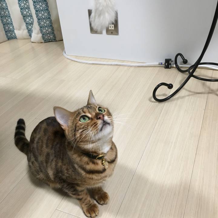 Fc7b76fa 9c88 4962 a9a0 f170f99020d6