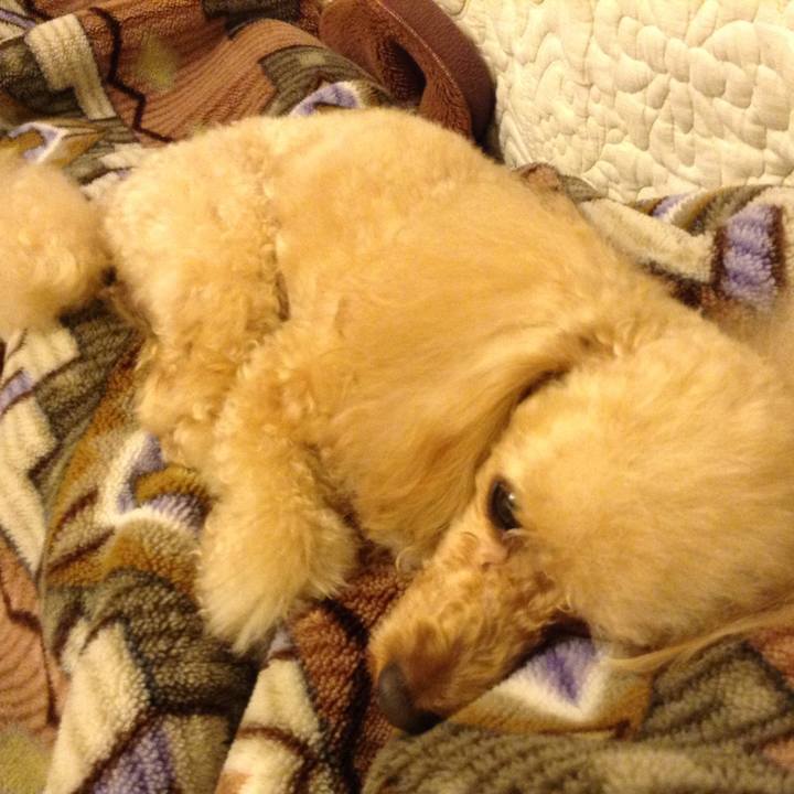 Fc7bf9ec 5730 458f be6e c46c0eea12df