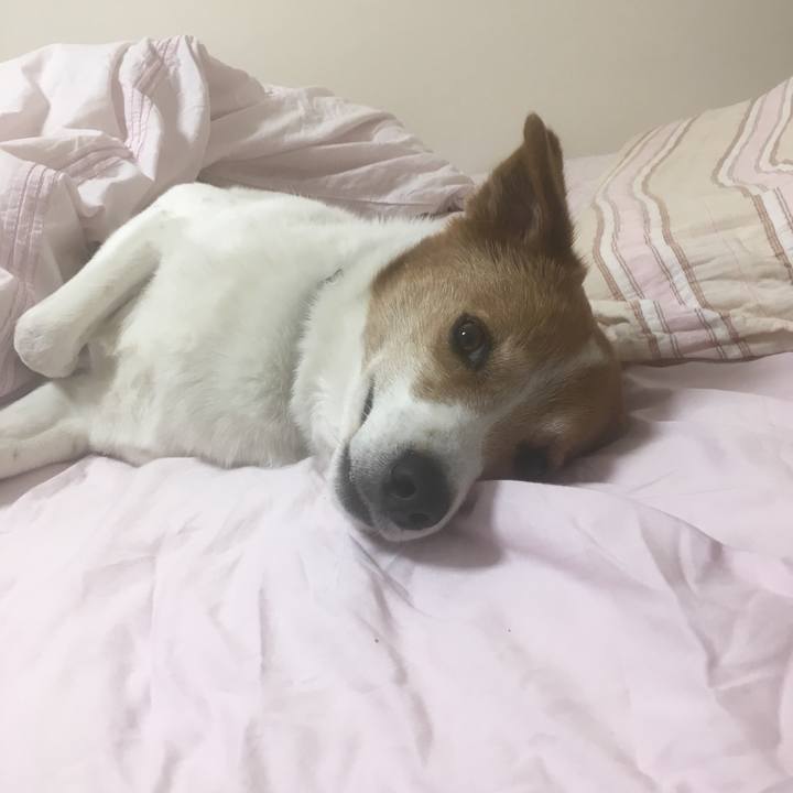 Fc7c0be2 d6f9 4f51 9d92 66d85fc0b119