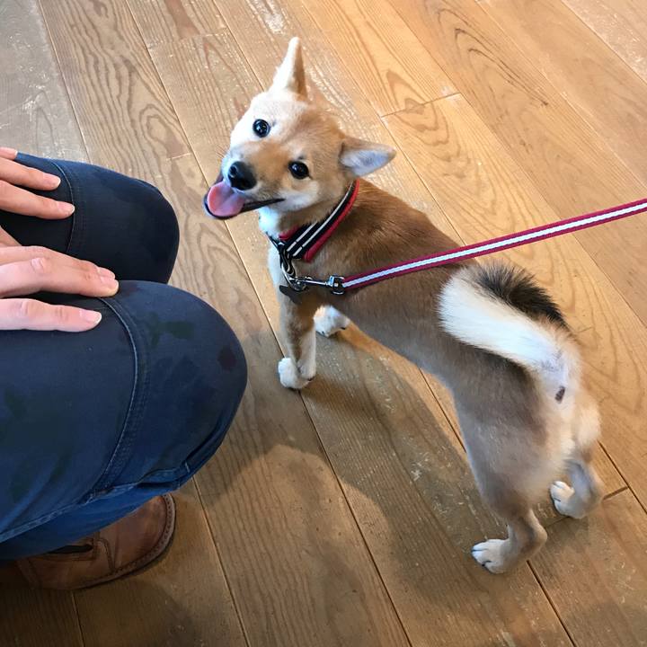 Fc7c201a 813b 4ca1 b7a9 0882991023fd