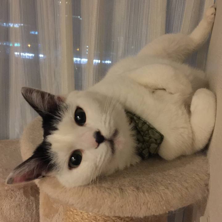 Fc7c439e 3e3f 4a0e 95ca 562119dfc38a