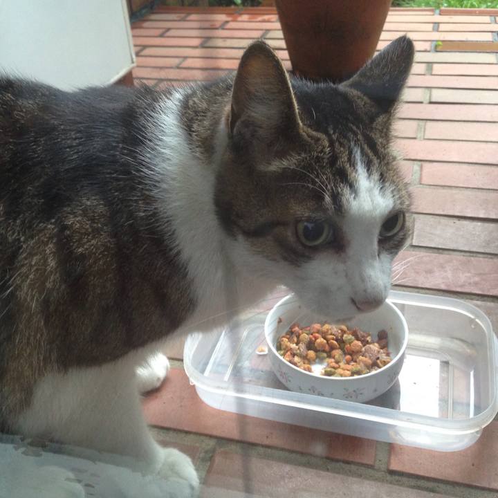 Fc7cb6c9 a459 4e5a a8b9 0768be510623