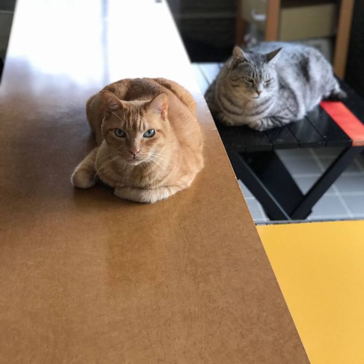 Fc7e657a 2532 446c 92a5 c484d1931793