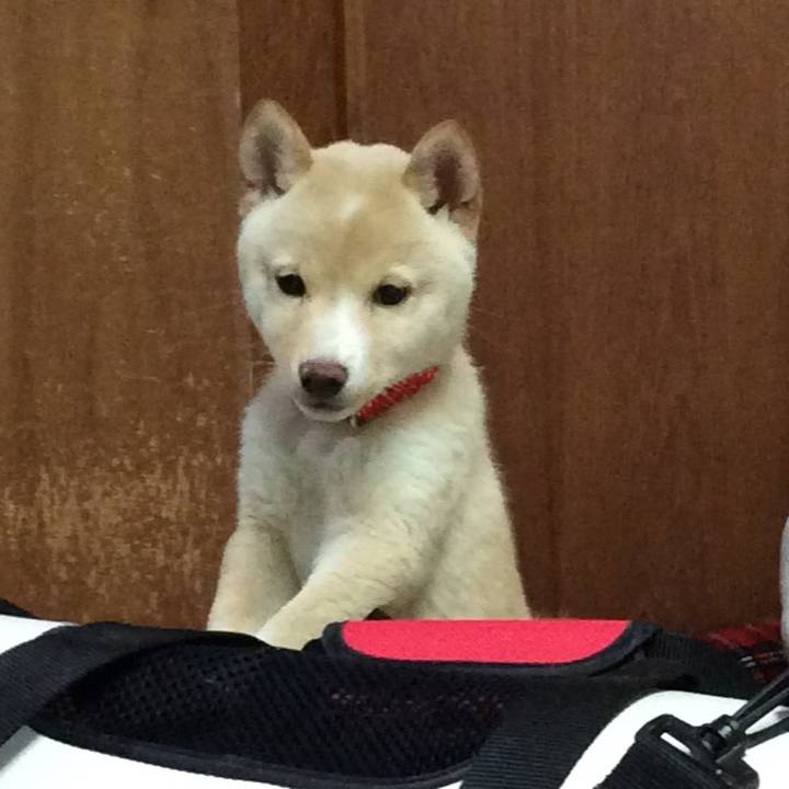 Fc7e8f5a dae2 432d 9930 11a21268d1ba