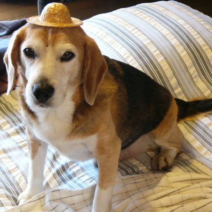 Fc7edf0b 6f18 492c 9f9f 11adb3993cad