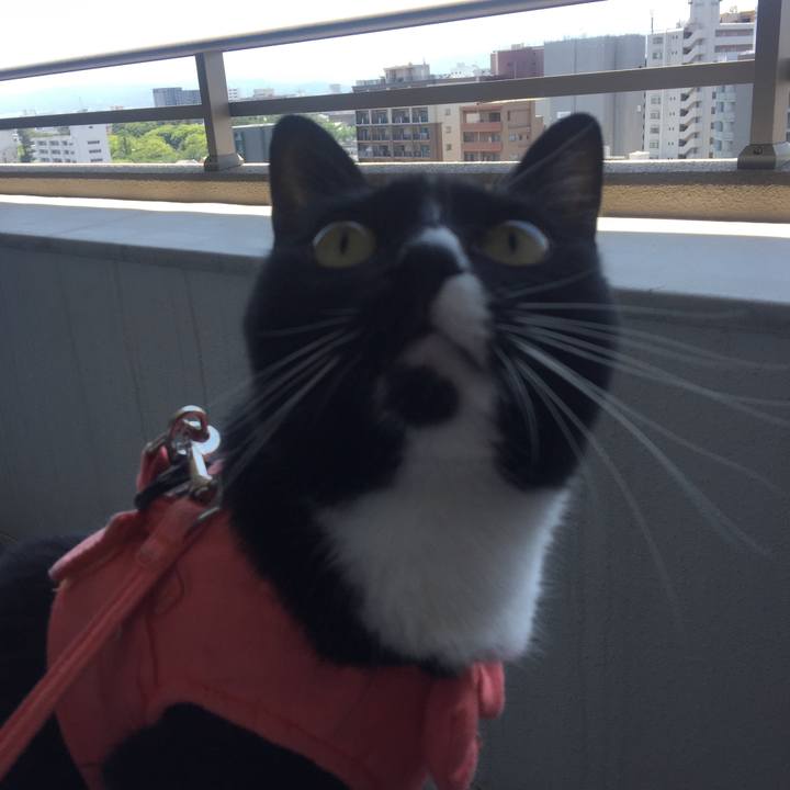 Fc7eff64 c43f 4132 9602 e025fdc779f9