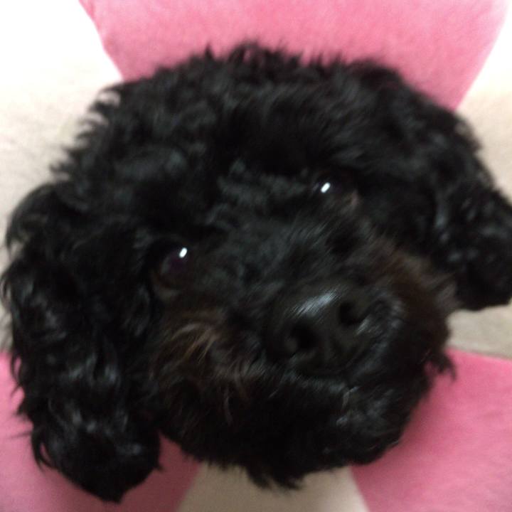 Fc7f0e1c d77e 4bb4 a51b 61ac94ed7df1