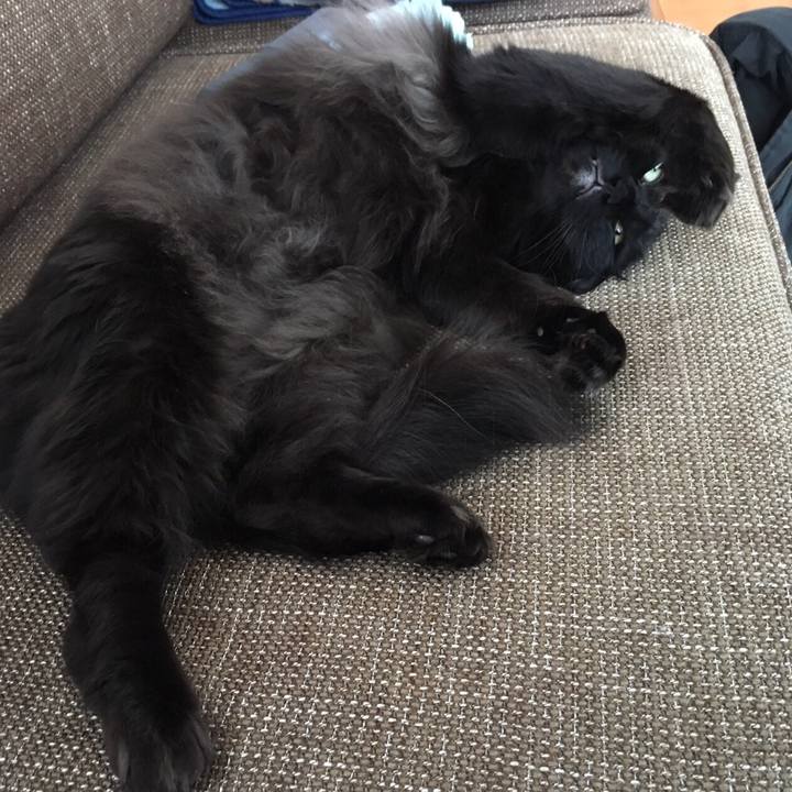 Fc8058ca bcd3 4cb6 9f68 e6fb0f17efc2