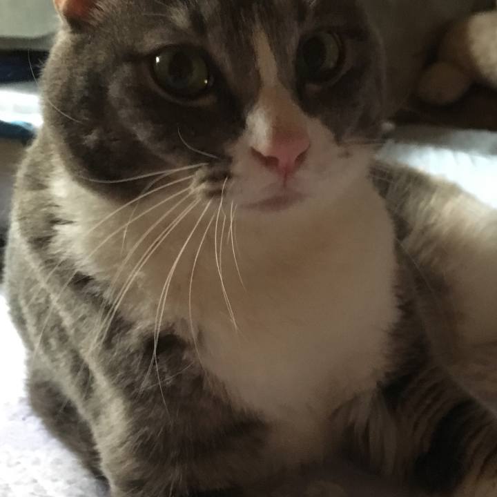 Fc807621 f70e 44ff 98d9 2982e544c8c3