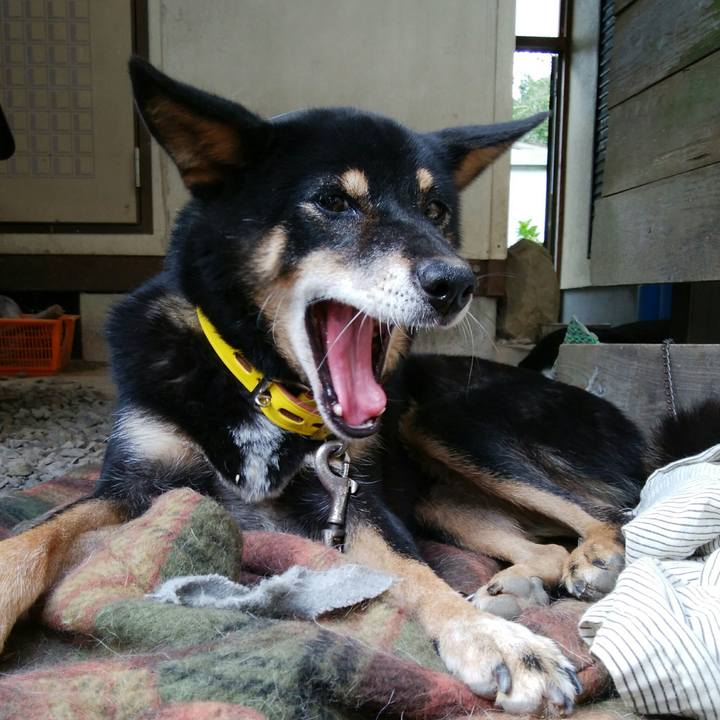 Fc80a1bf dd8a 420f b8ad 910de04792df