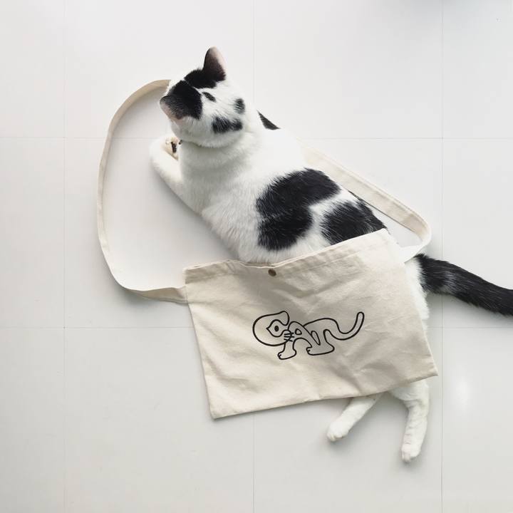 Fc810bd9 1e0c 4504 a48c f8be10b692de