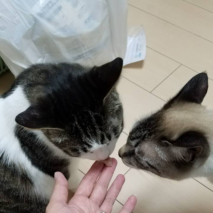 Fc810c63 a80f 4443 81dd a4aef3770c0b